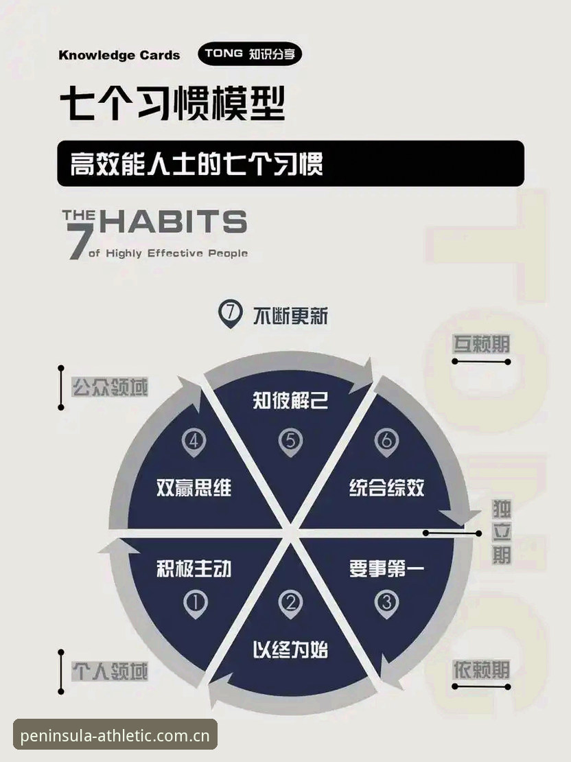 bandao体育平台 bandao体育平台移动端实用指南:高效使用与版本更新必备知识