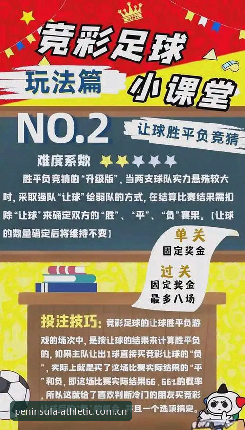 半岛体育平台全面升级详解：移动端体验与竞猜新玩法介绍
