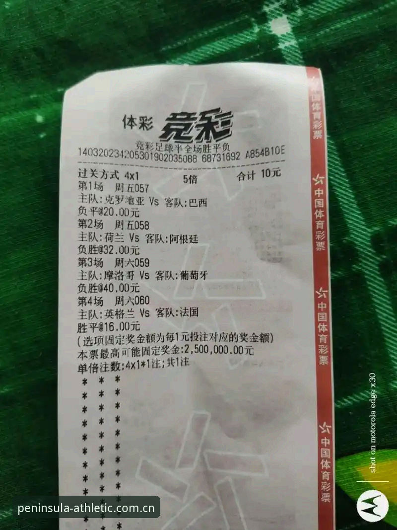 半岛体育平台全面评测：移动端竞猜体验的创新突破与深度解析
