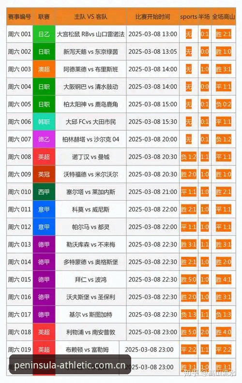 如何通过半岛官网攻略高效获取体育竞彩资讯？从版本优化到用户体验全解析